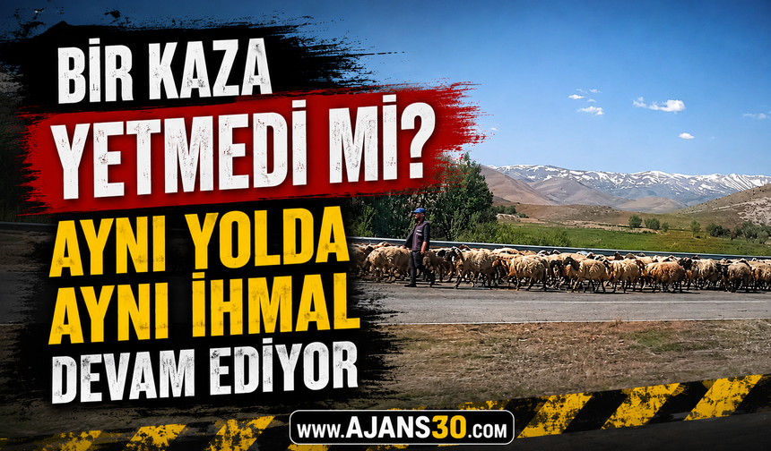 Bir Kaza Yetmedi Mi?