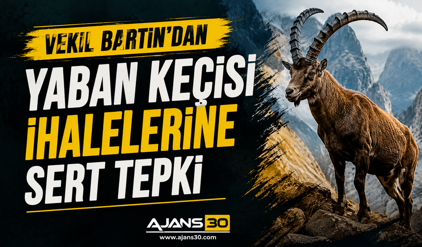Bartın’dan Yaban Keçisi İhalelerine Sert Tepki