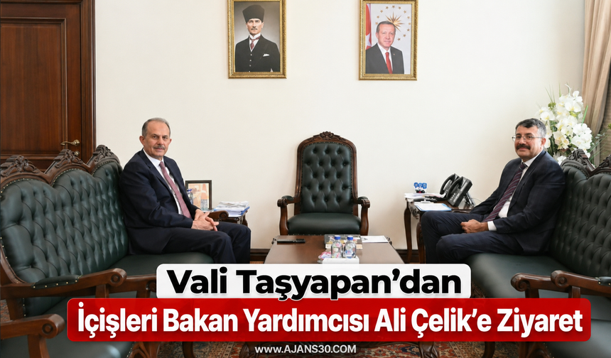Vali Taşyapan’dan İçişleri Bakan Yardımcısı Ali Çelik’e Ziyaret