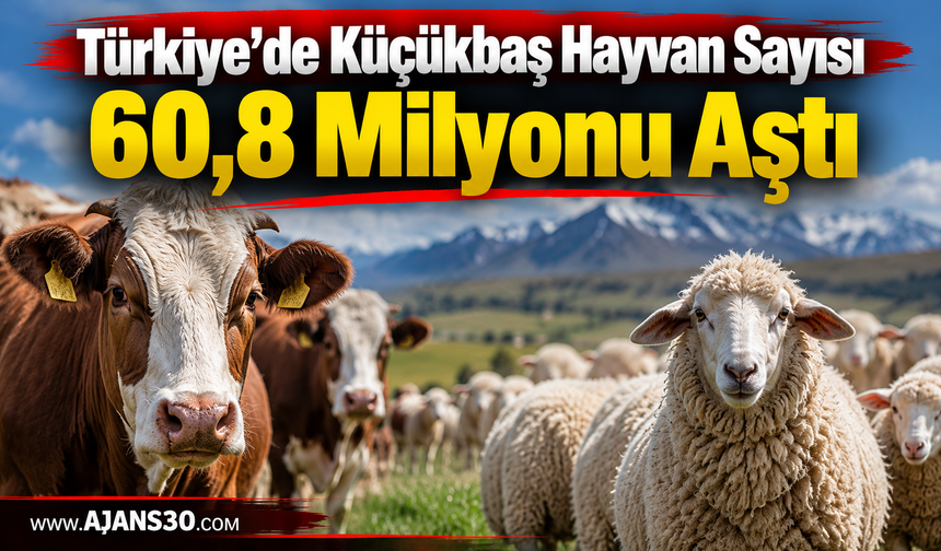Türkiye’de Hayvan Varlığı Büyüyor