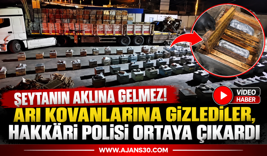 Şeytanın Aklına Gelmez! Arı Kovanlarına Gizlediler, Hakkâri Polisi Ortaya Çıkardı