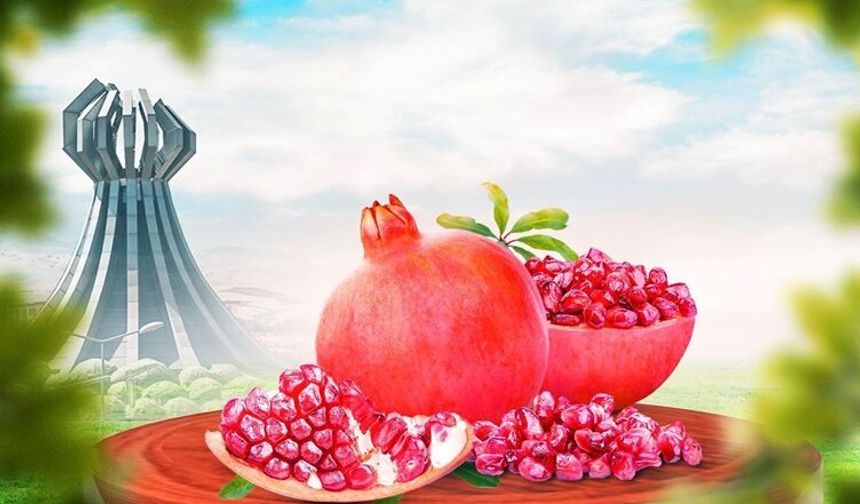 Halepçe Geleneksel nar festivali için geri sayım başladı