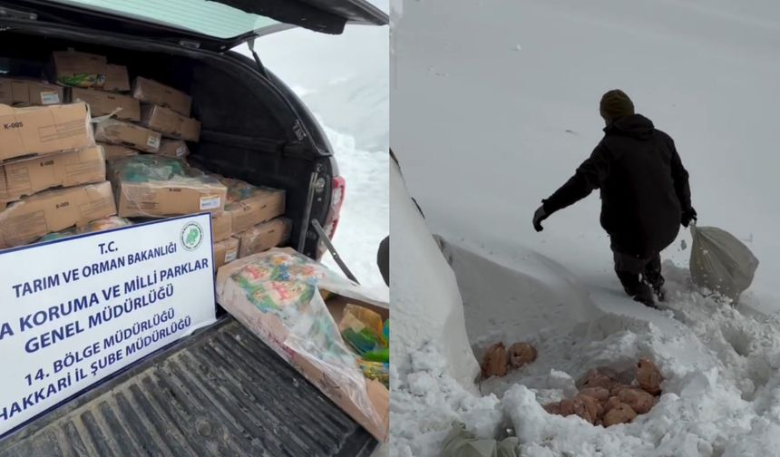 Hakkâri’de Yaban Hayatı İçin Anlamlı Destek