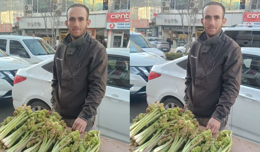 Hakkâri’de Uşkun Sezonu Açıldı: Tezgâhlarda Yerini Aldı, Fiyatı Cep Yakıyor